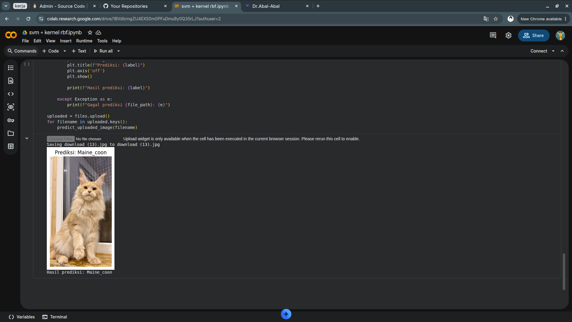 Cat Classifier Menggunakan Metode SVM - screenshot 1